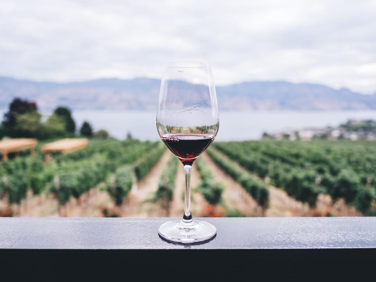 Devil's Backbone — wine glass overlooking vineyard