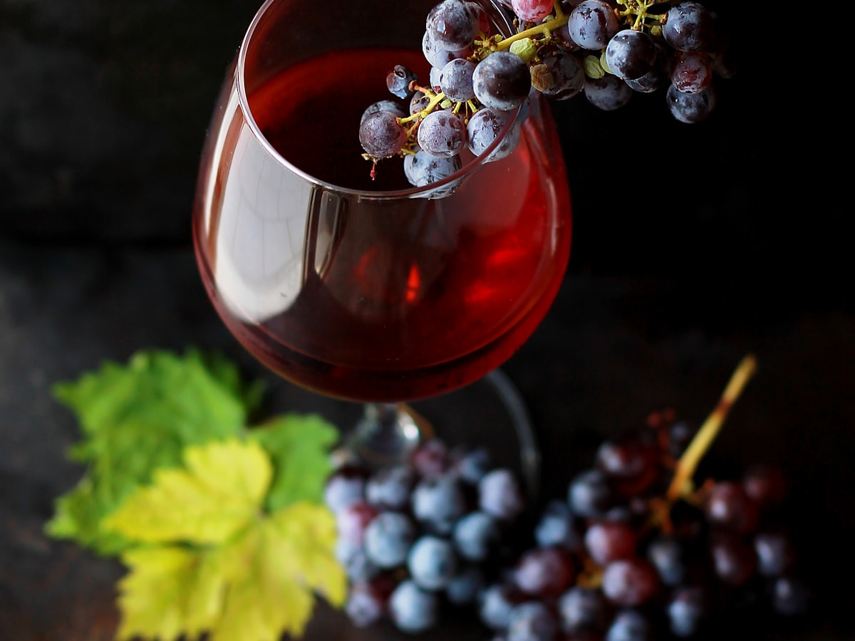 MKT East — North Texas wine country tasting